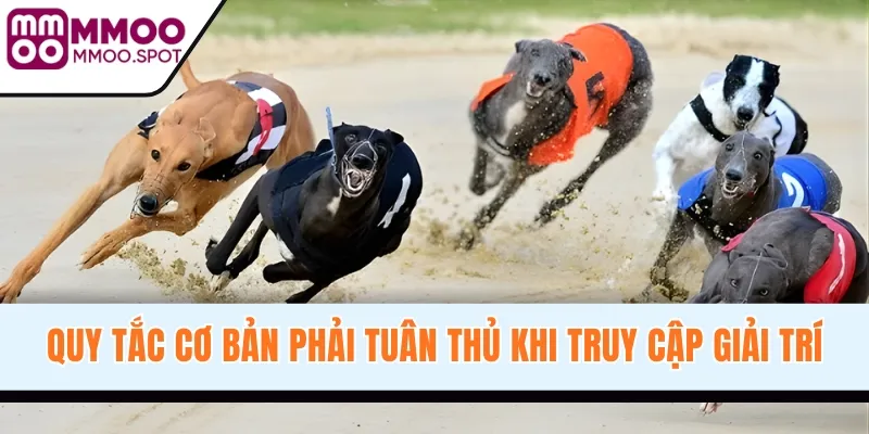 Quy tắc cơ bản phải tuân thủ khi truy cập giải trí